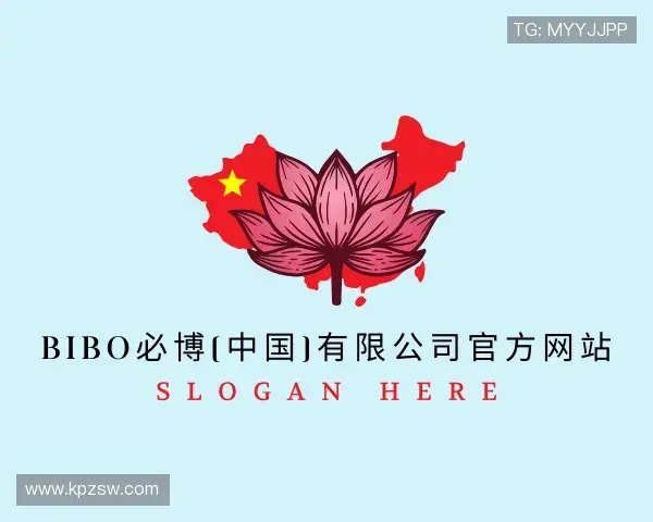 解读bibo必博